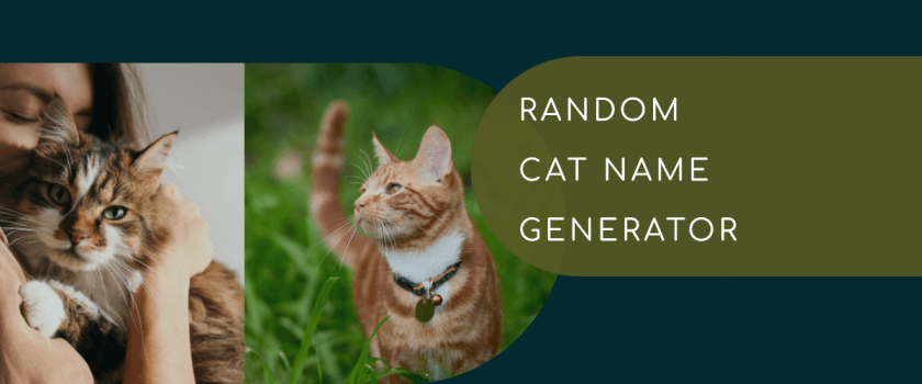 Random CatName Generator